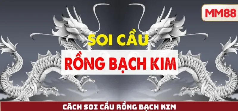 Cách Soi Cầu Rồng Bạch Kim – Hiểu Đúng Dữ Liệu, Tránh Ngộ Nhận Và Chơi Có Trách Nhiệm Cùng MM88 1 Cách Soi Cầu Rồng Bạch Kim